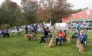 Chinook Specialty 2021: Sunday Fun "Musical Chairs" Chinook Specialty 2021: Sunday Fun "Musical Chairs"