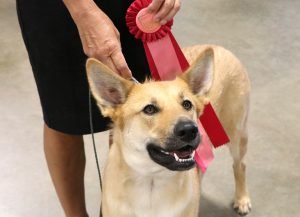 2022 NBOB Mystique Pond Katyaaq (Kiana)