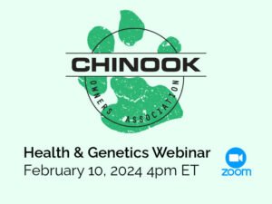 webinar-meeting-image