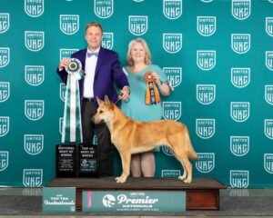 NBOB Winner: Forever Green Hiwassee Hazel (Hazel) owned by Denise Traber  Reed and Todd Reed