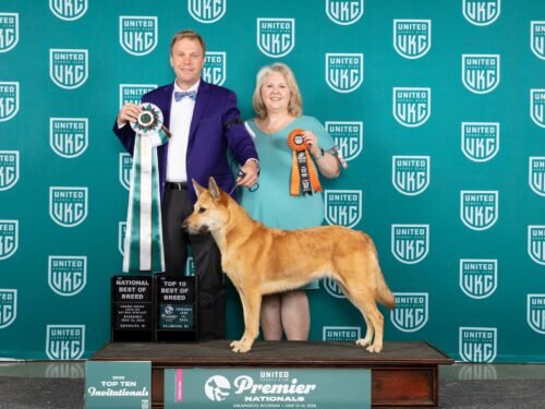 NBOB Winner: Forever Green Hiwassee Hazel (Hazel) owned by Denise Traber  Reed and Todd Reed