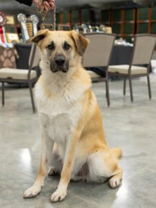 Frontier Tamanawas Tukamonuk (Tuk)