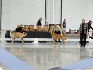 Specialty (10 of 96)