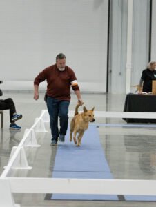 Specialty (13 of 96)