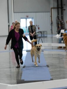 Specialty (14 of 96)