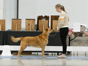 Specialty (18 of 96)