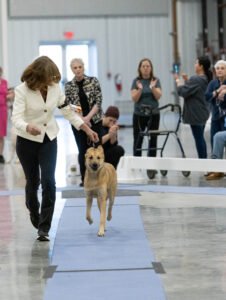 Specialty (24 of 96)