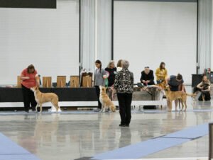 Specialty (28 of 96)