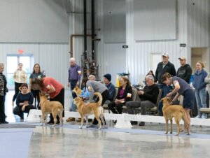 Specialty (31 of 96)