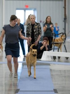 Specialty (35 of 96)