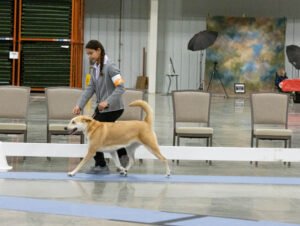 Specialty (38 of 96)