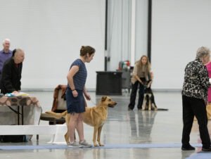 Specialty (39 of 96)