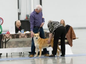 Specialty (41 of 96)