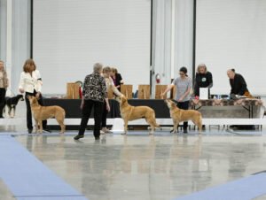 Specialty (52 of 96)