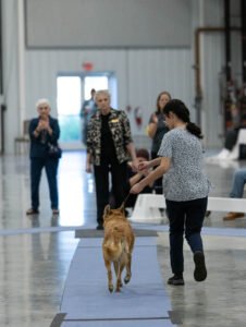 Specialty (57 of 96)