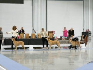 Specialty (58 of 96)