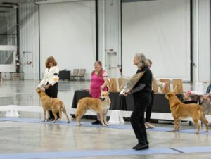 Specialty (62 of 96)