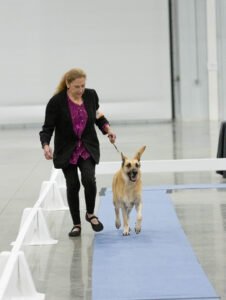 Specialty (65 of 96)