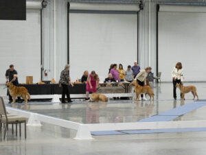 Specialty (69 of 96)