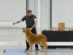 Specialty (70 of 96)