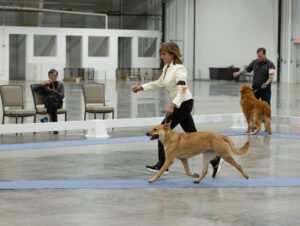 Specialty (74 of 96)