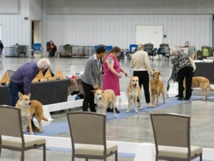 Specialty (81 of 96)