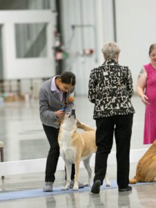 Specialty (88 of 96)