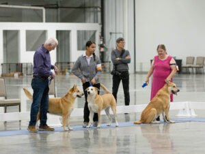 Specialty (93 of 96)