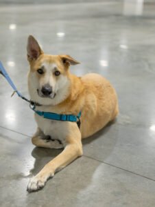 Tennessee River Oden