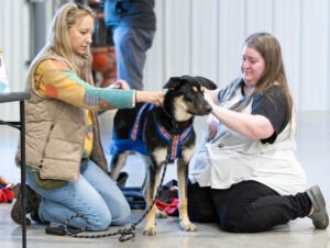 Weight Pull (1 of 41)