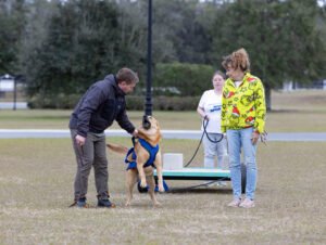 Weight Pull (11 of 41)