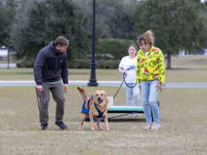 Weight Pull (14 of 41)