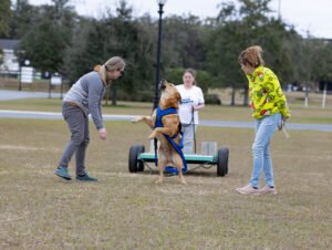 Weight Pull (21 of 41)