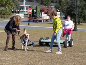 Weight Pull (3 of 41)