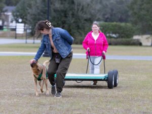 Weight Pull (36 of 41)