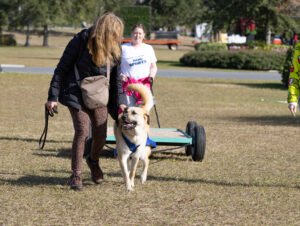Weight Pull (4 of 41)