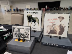 eye candy (15 of 15)