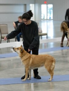 handling class (12 of 40)