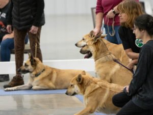 handling class (15 of 40)