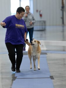 handling class (16 of 40)