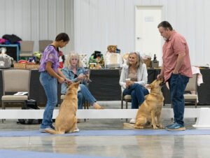 handling class (17 of 40)