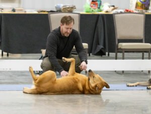 handling class (18 of 40)