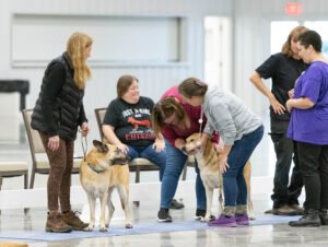 handling class (28 of 40)