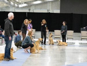 handling class (3 of 40)