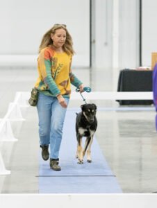 handling class (32 of 40)