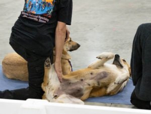 handling class (39 of 40)