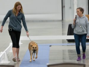 handling class (4 of 40)