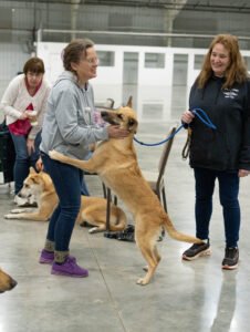 handling class (40 of 40)