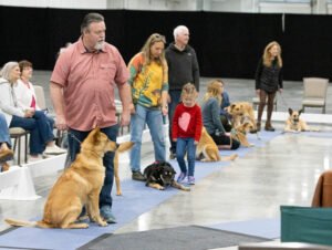 handling class (6 of 40)
