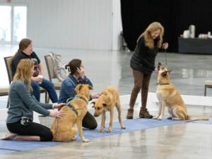 handling class (7 of 40)